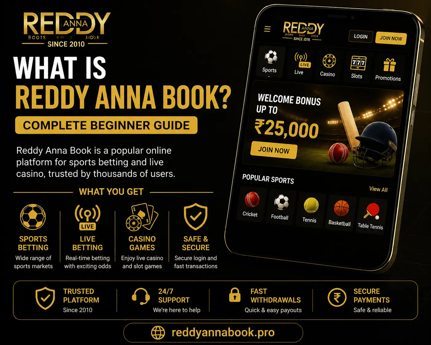 What is Reddy Anna Book? Complete Beginner Guide